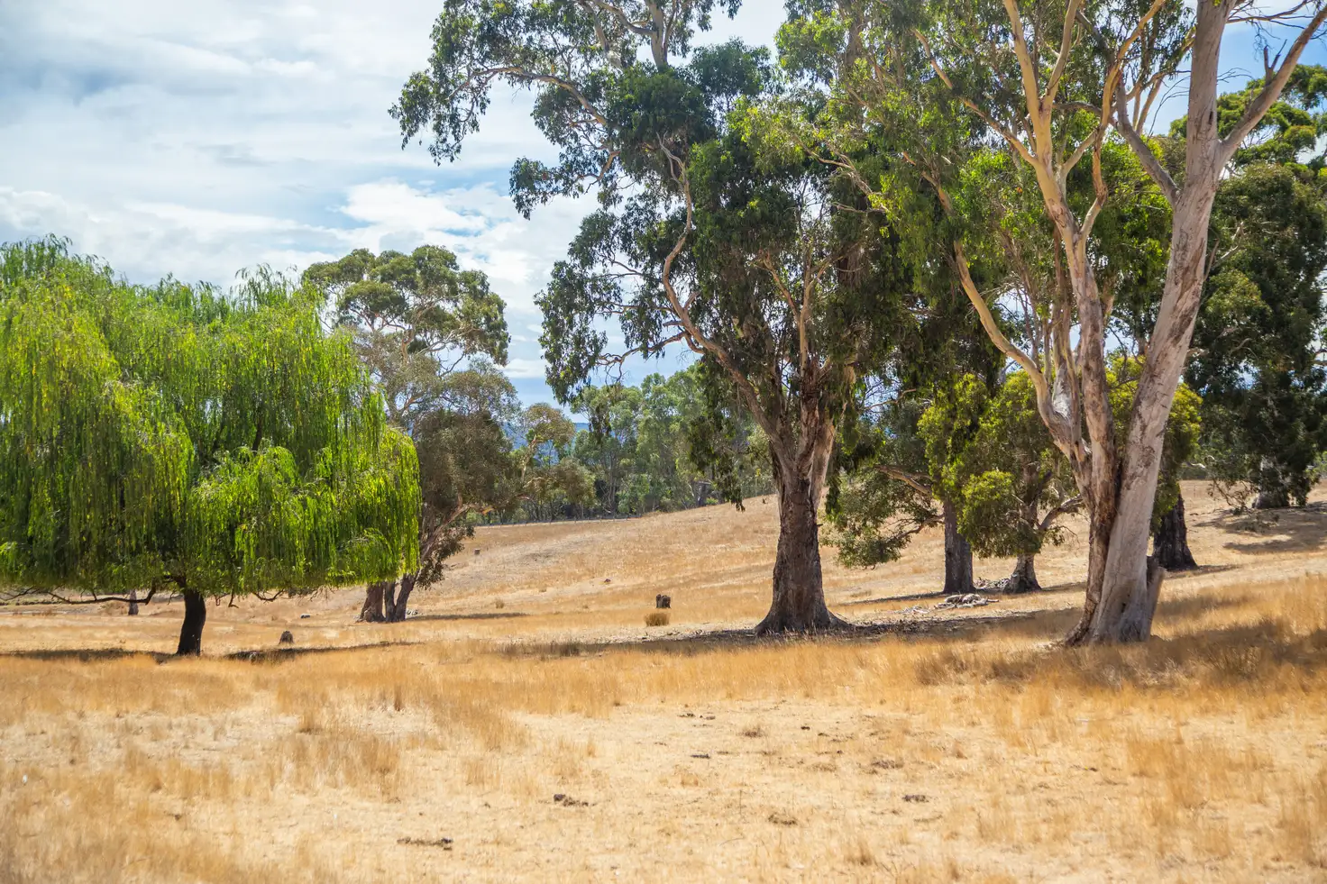 Main view of Homely land listing, Lot 17 Fairview Road, Hahndorf SA 5245