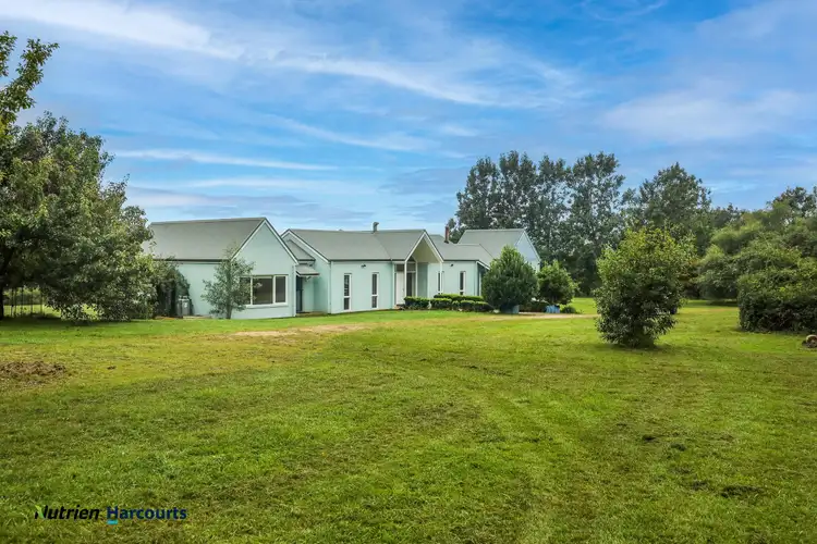Sixth view of Homely rural property listing, 506 Sawyers Ridge Road, Reidsdale NSW 2622
