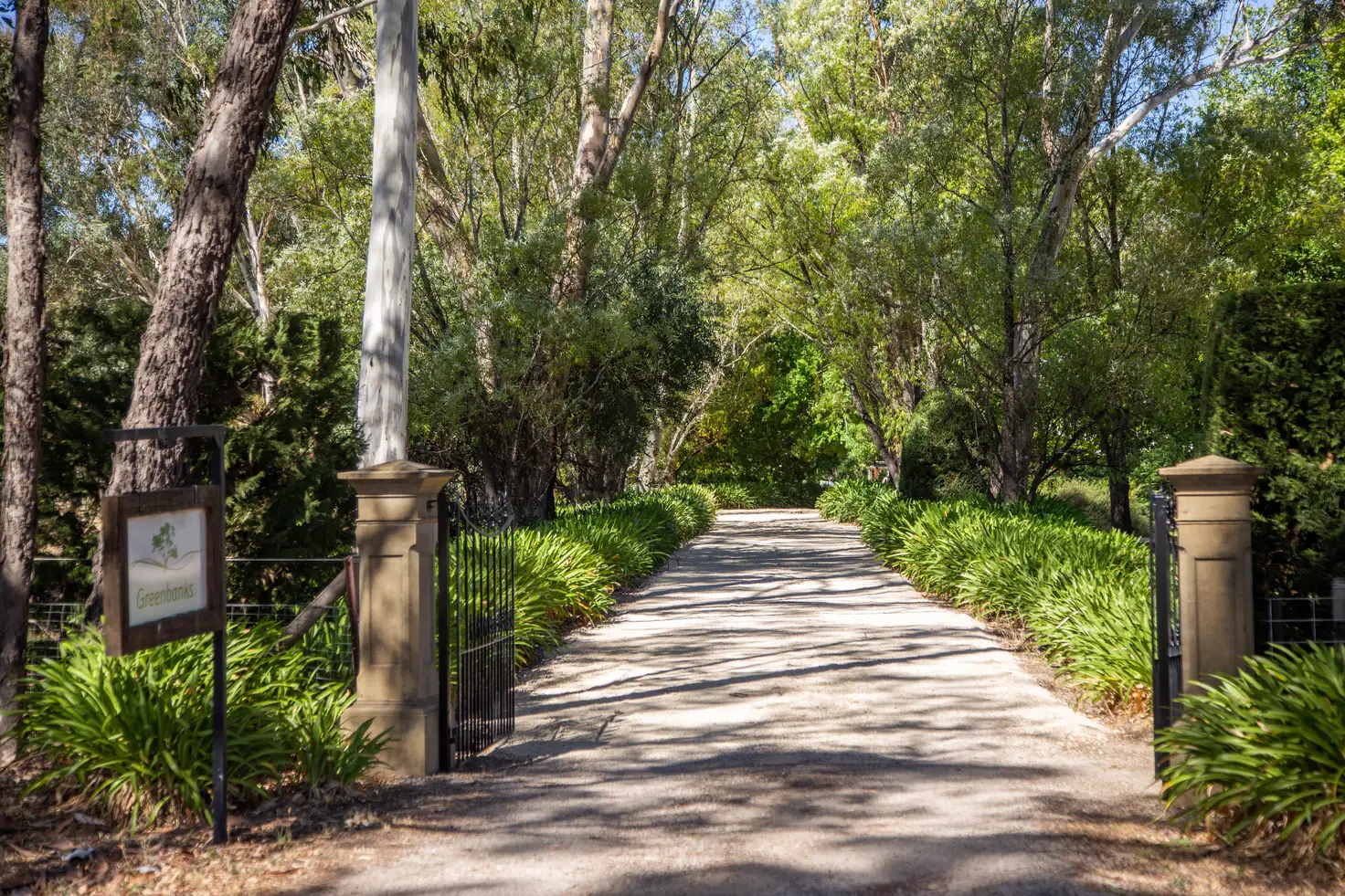 Main view of Homely rural property listing, 99 Silver Lake Road, Mylor SA 5153