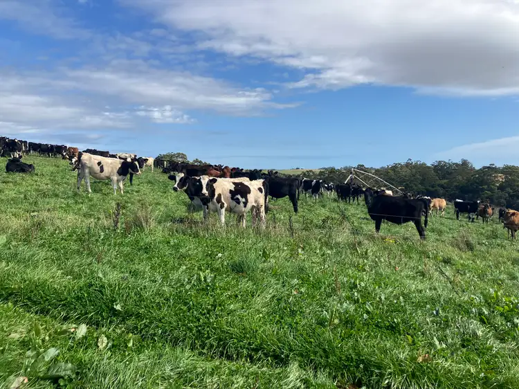 611 Montumana Road, Montumana TAS 7321