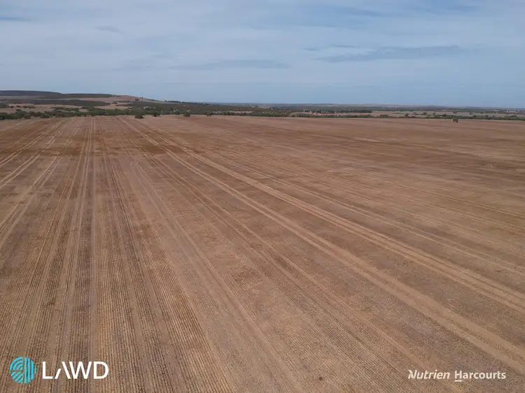 Second view of Homely rural property listing, . Springfield Farm, Walkaway WA 6528