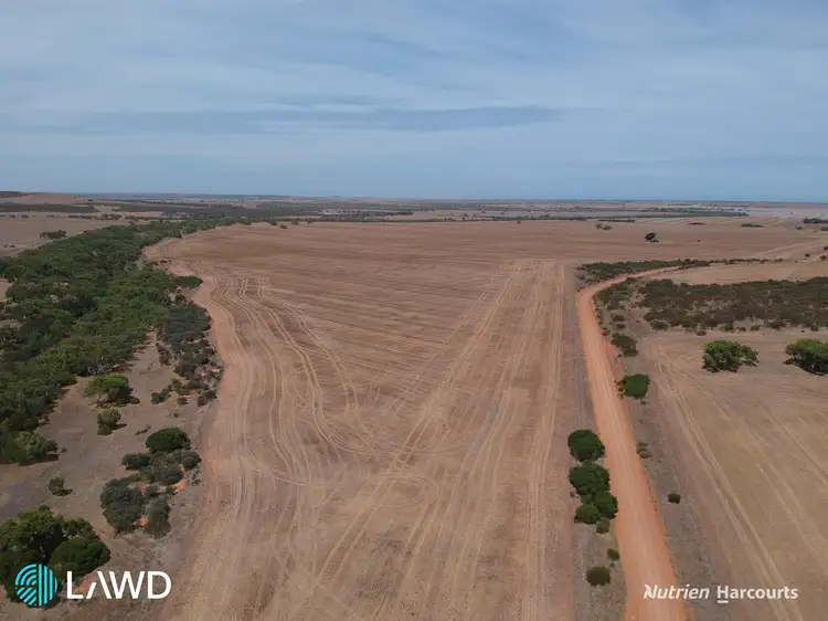 Fifth view of Homely rural property listing, . Springfield Farm, Walkaway WA 6528