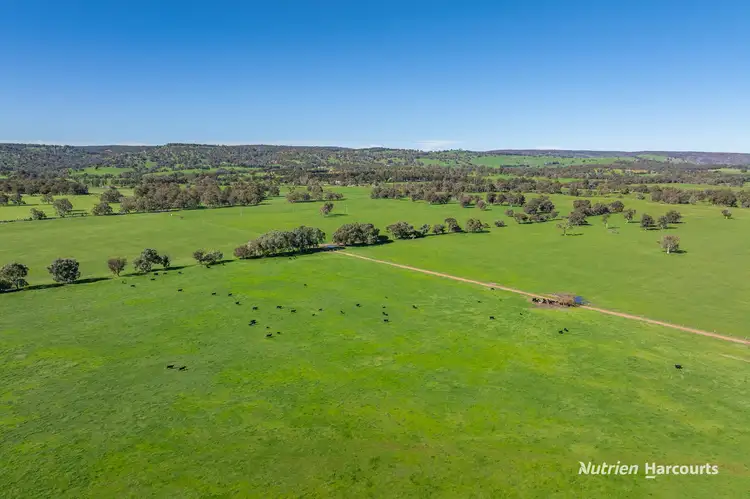 Fifth view of Homely rural property listing, Lots 13 & 14 Nicholson Road, Meelon WA 6208
