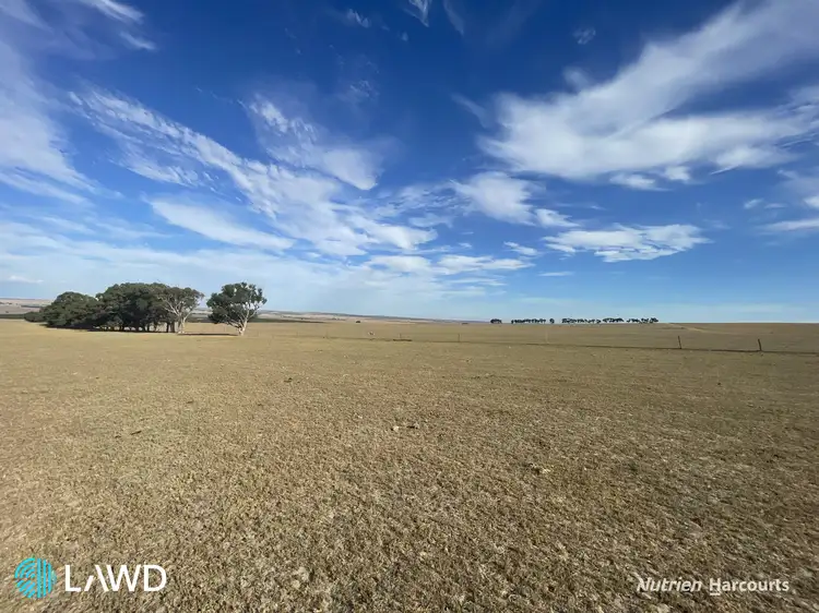 . Allanooka Farm, Allanooka WA 6525