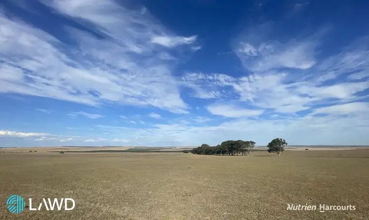 Second view of Homely rural property listing, . Allanooka Farm, Allanooka WA 6525
