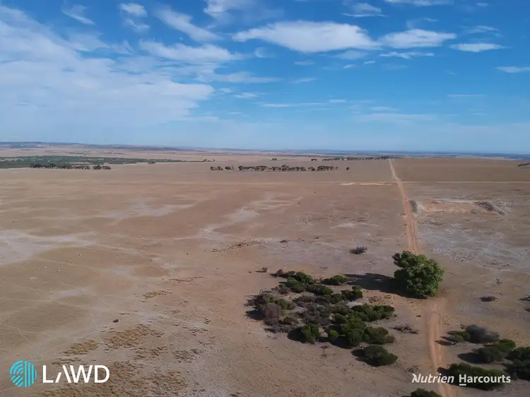 Seventh view of Homely rural property listing, . Allanooka Farm, Allanooka WA 6525