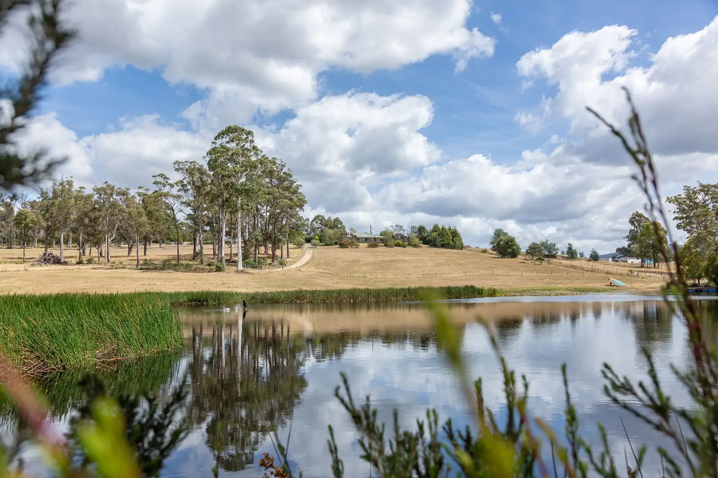 Main view of Homely rural property listing, 124 Glengarry Drive, Glengarry TAS 7275