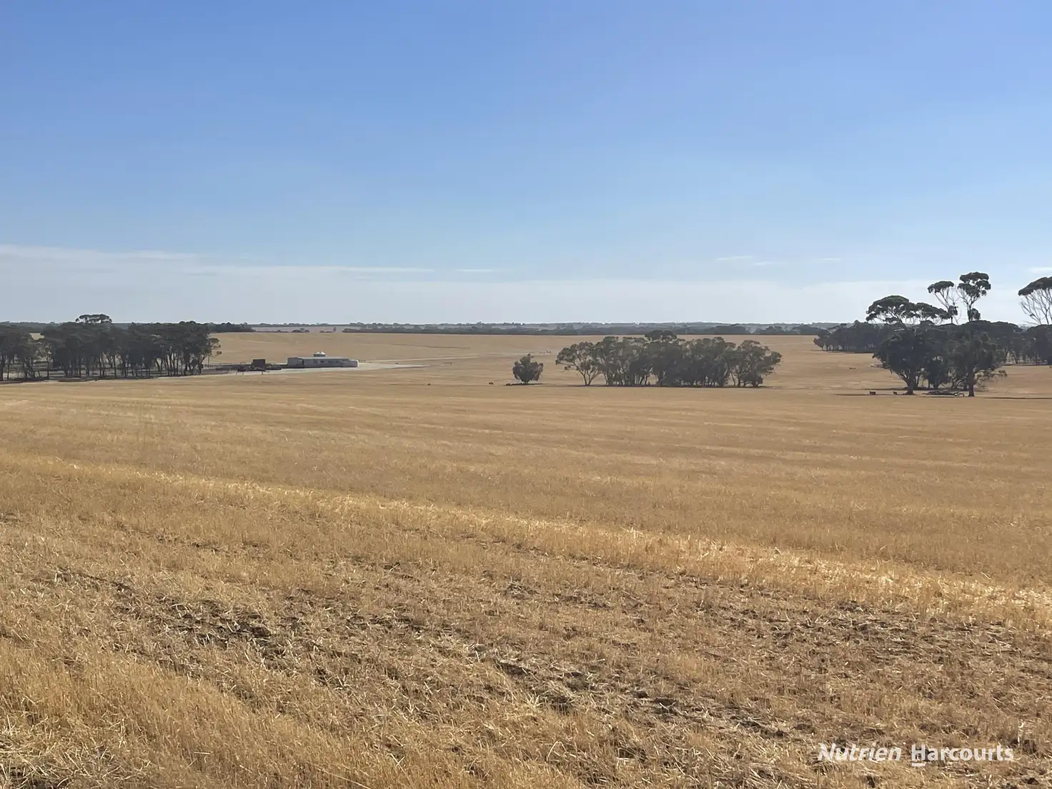 Main view of Homely rural property listing, 544 Tincurrin Road, Tincurrin WA 6361