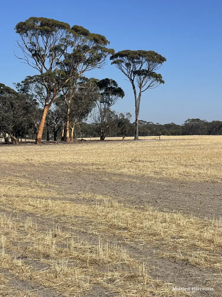 Fifth view of Homely rural property listing, 544 Tincurrin Road, Tincurrin WA 6361