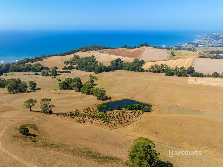 Fifth view of Homely rural property listing, 15583 Bass Highway, Doctors Rocks TAS 7325
