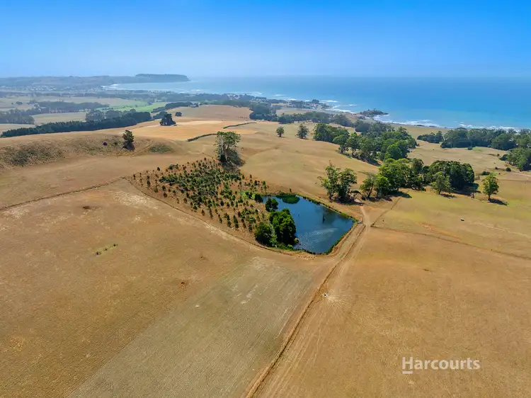 Sixth view of Homely rural property listing, 15583 Bass Highway, Doctors Rocks TAS 7325