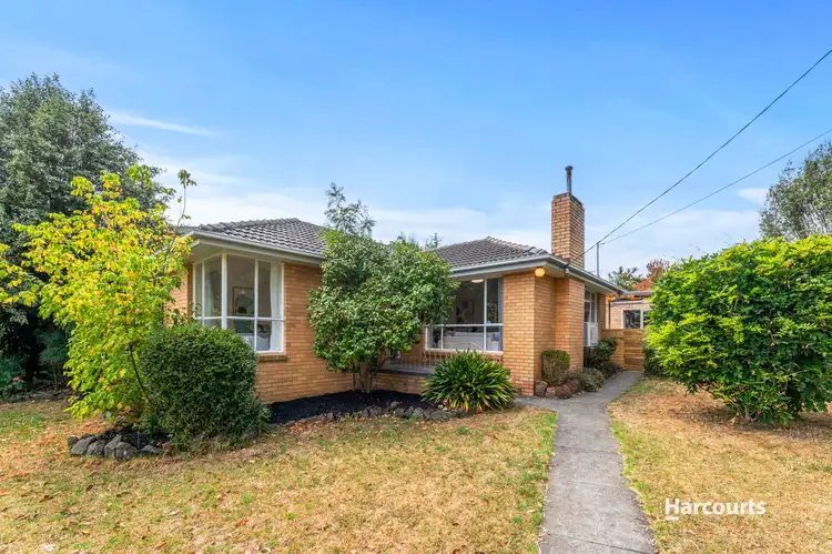 Third view of Homely house listing, 11 Marilyn Court, Blackburn North VIC 3130