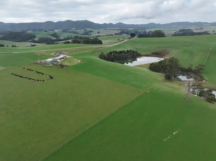 Main view of Homely rural property listing, 17 Walkers Road, Rocky Cape TAS 7321