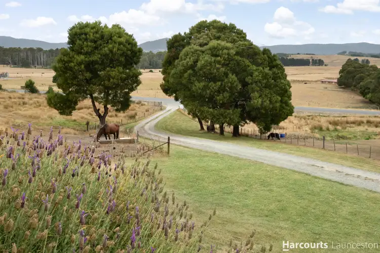 Fourth view of Homely house listing, 348 Bacala Road, Tunnel TAS 7254