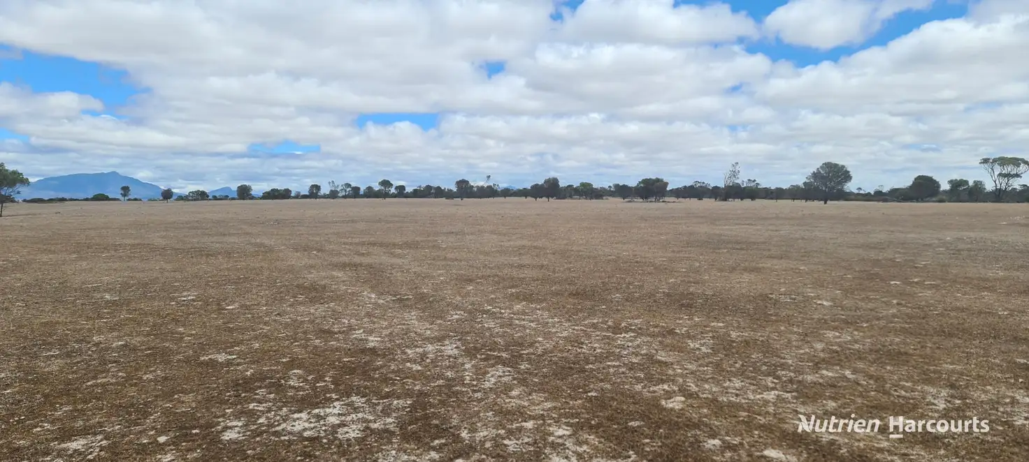 Main view of Homely rural property listing, . Hornsey Road, Borden WA 6338