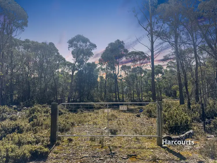 Main view of Homely land listing, 711 Arthurs Lake Road, Arthurs Lake TAS 7030