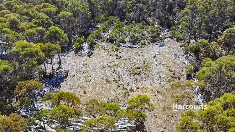 Third view of Homely land listing, 711 Arthurs Lake Road, Arthurs Lake TAS 7030