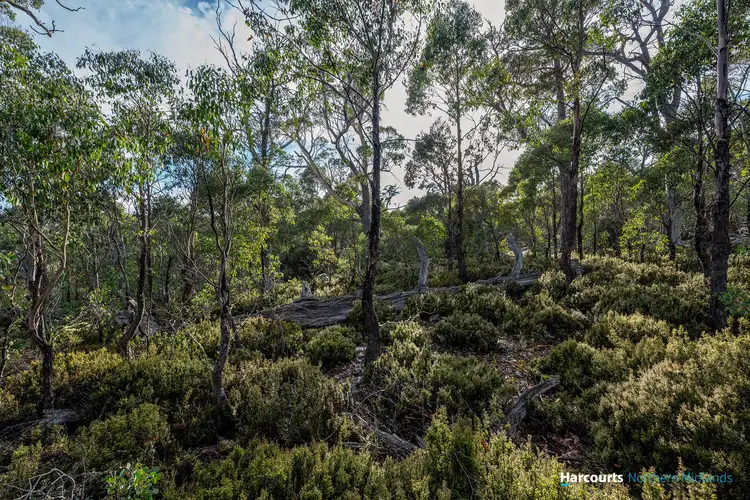 Fifth view of Homely land listing, 11 Shoobridge Close, Tods Corner TAS 7030