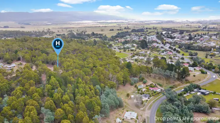 88 Main Street, St Marys TAS 7215