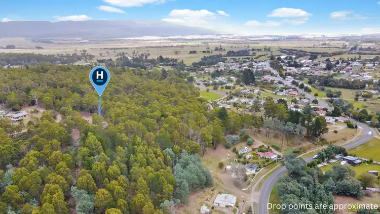 Second view of Homely land listing, 88 Main Street, St Marys TAS 7215