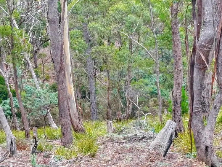 Fourth view of Homely land listing, 88 Main Street, St Marys TAS 7215