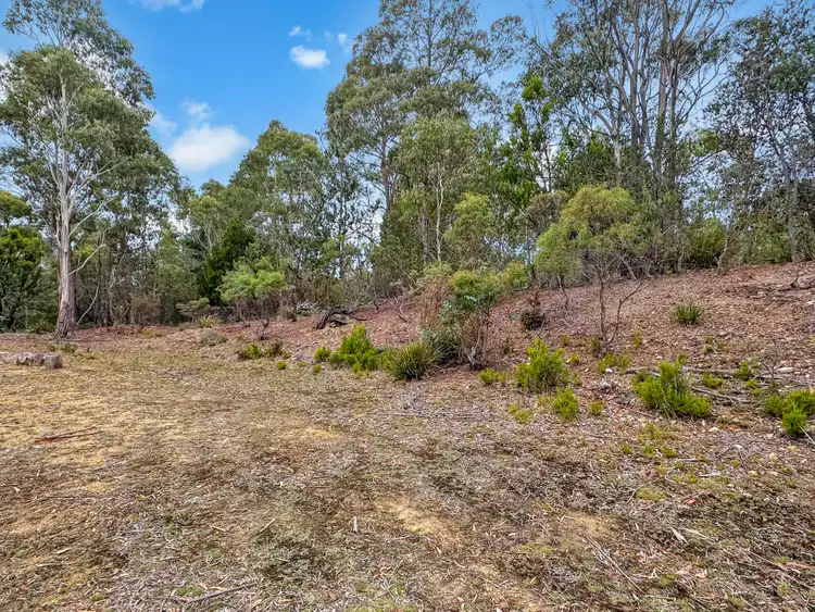 Sixth view of Homely land listing, 88 Main Street, St Marys TAS 7215