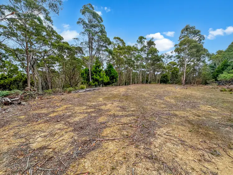 Seventh view of Homely land listing, 88 Main Street, St Marys TAS 7215
