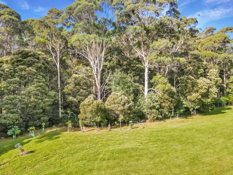 Sixth view of Homely land listing, 605 Elephant Pass Road, Gray TAS 7215