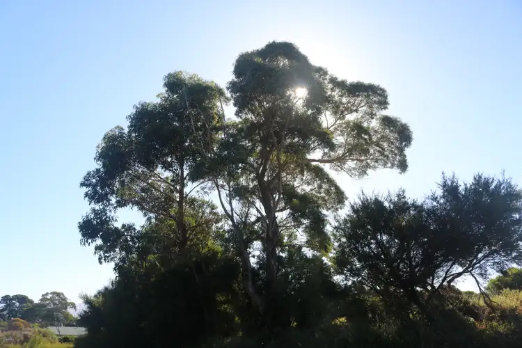 Third view of Homely land listing, 4 Barr Street, Lady Barron TAS 7255