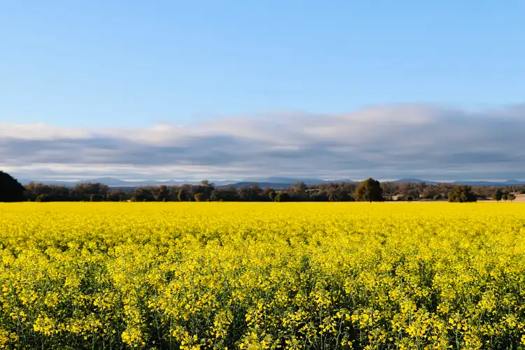 Fourth view of Homely rural property listing, 1676 Willala Road, Boggabri NSW 2382