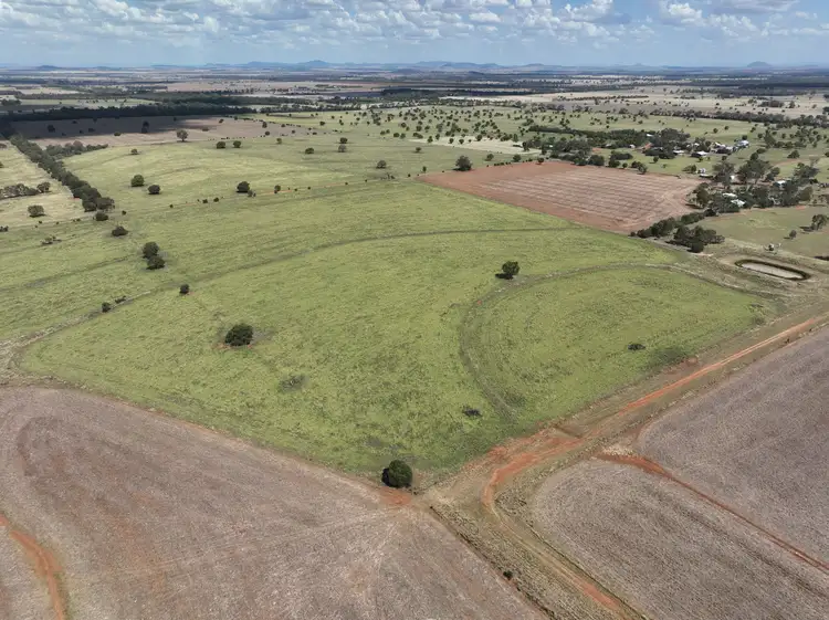 Sixth view of Homely rural property listing, 1676 Willala Road, Boggabri NSW 2382