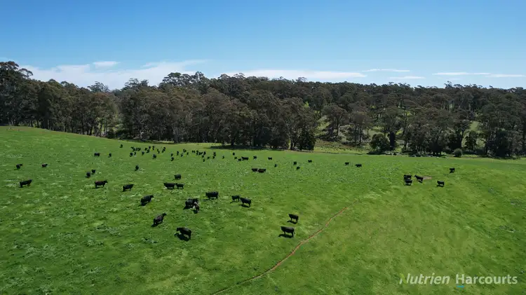 90 Porcupine Ridge Road, Daylesford VIC 3460