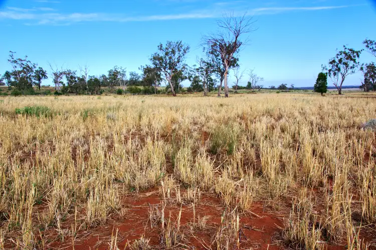 Second view of Homely rural property listing, 2381 Killarney Gap Road, Narrabri NSW 2390