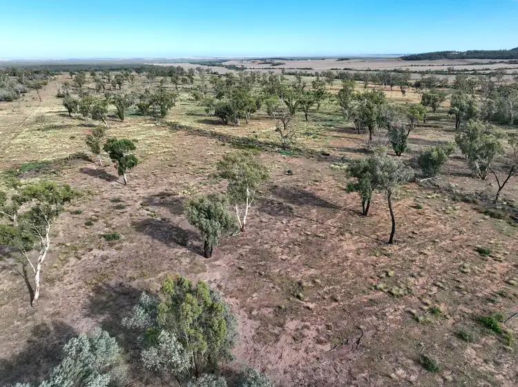 Seventh view of Homely rural property listing, 2381 Killarney Gap Road, Narrabri NSW 2390