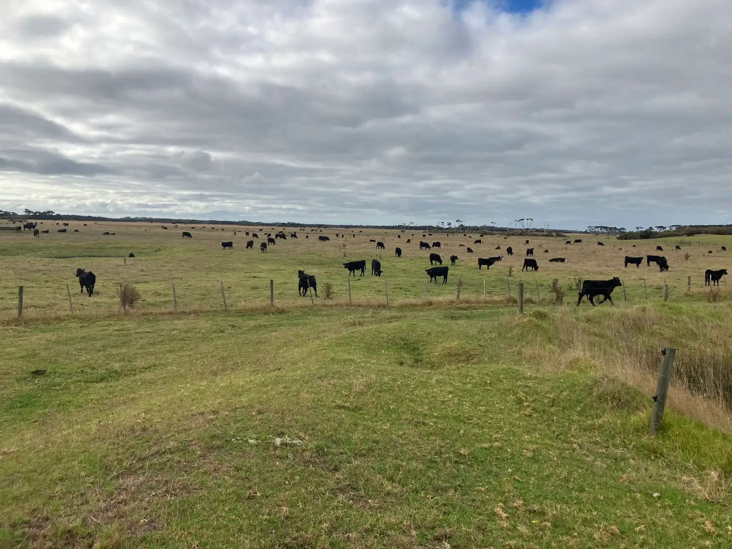 Main view of Homely rural property listing, 3470 North Road, Egg Lagoon TAS 7256