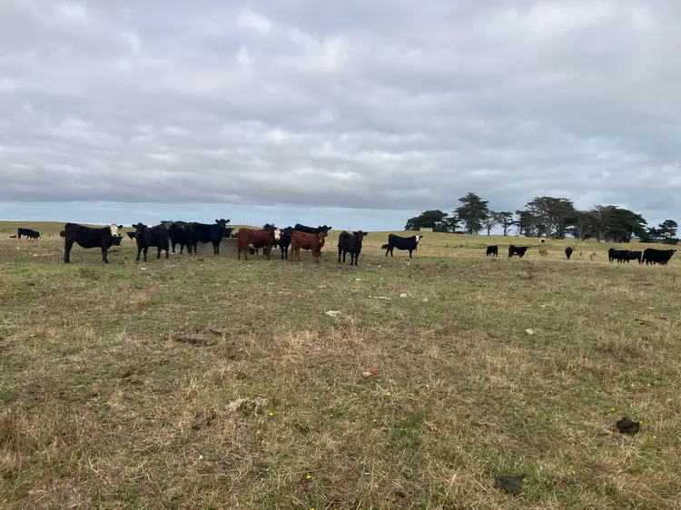 Third view of Homely rural property listing, 3470 North Road, Egg Lagoon TAS 7256