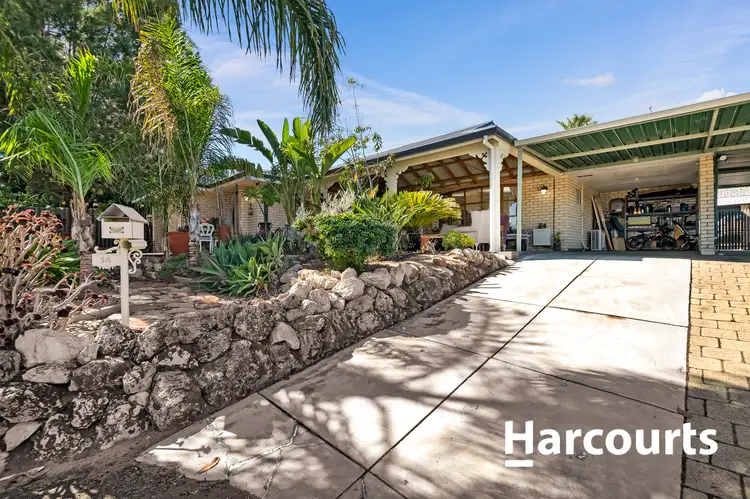 Third view of Homely house listing, 14 Wanill Place, Wanneroo WA 6065