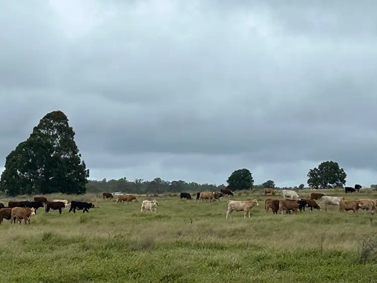 Main view of Homely rural property listing, Lot 125 Mount McEuen Road, Hivesville QLD 4612