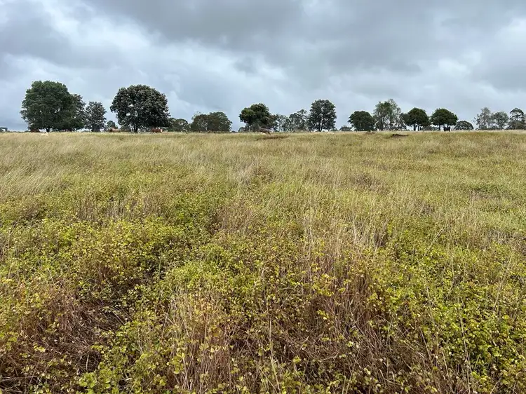 Third view of Homely rural property listing, Lot 125 Mount McEuen Road, Hivesville QLD 4612