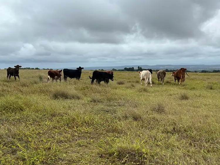 Fifth view of Homely rural property listing, Lot 125 Mount McEuen Road, Hivesville QLD 4612