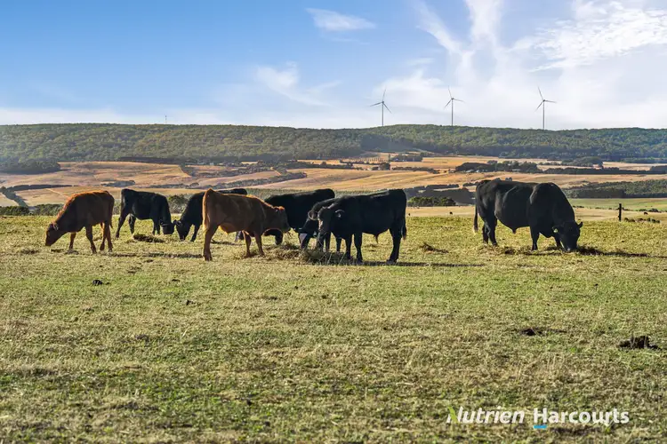 Fifth view of Homely rural property listing, 6788 Great Ocean Road, Princetown VIC 3269