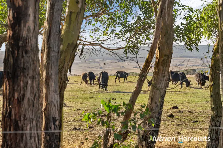 Sixth view of Homely rural property listing, 6788 Great Ocean Road, Princetown VIC 3269