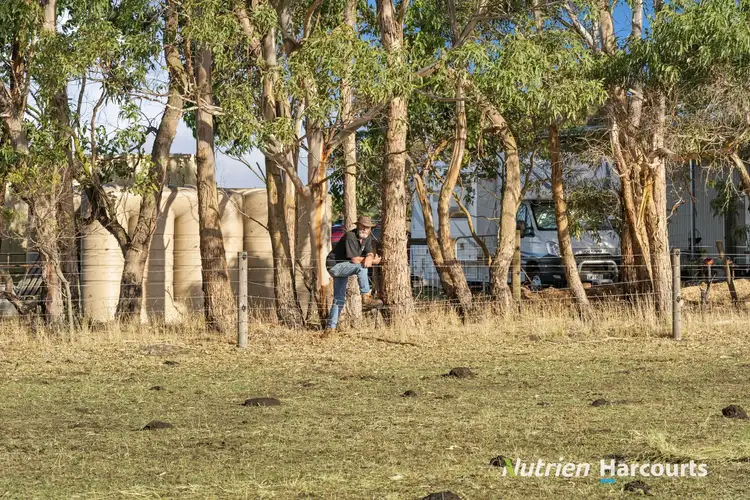Seventh view of Homely rural property listing, 6788 Great Ocean Road, Princetown VIC 3269