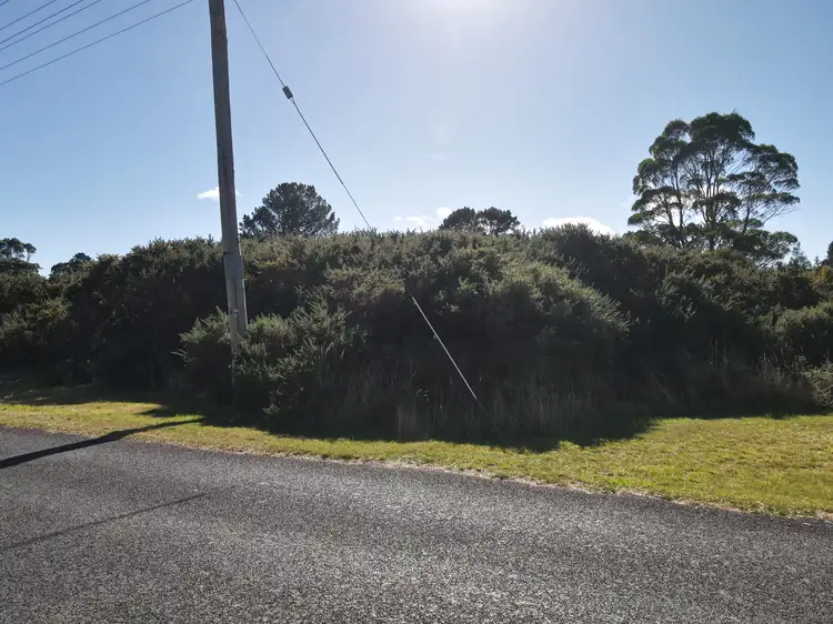 Main view of Homely land listing, 4 Mulcahy Street, Zeehan TAS 7469