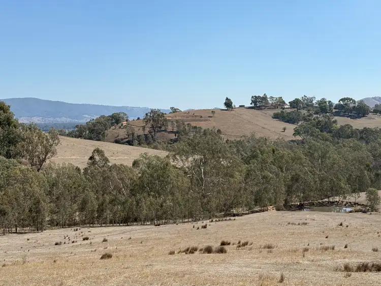Second view of Homely rural property listing, 85 Halls Flat Road, Alexandra VIC 3714