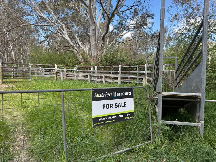 Fifth view of Homely rural property listing, 85 Halls Flat Road, Alexandra VIC 3714