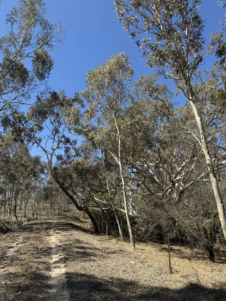 Seventh view of Homely rural property listing, 85 Halls Flat Road, Alexandra VIC 3714