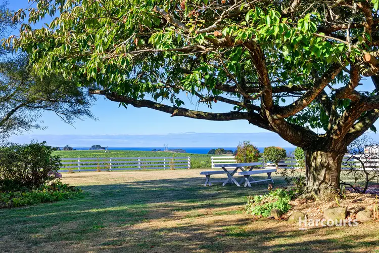 155 West Pine Road, Penguin TAS 7316