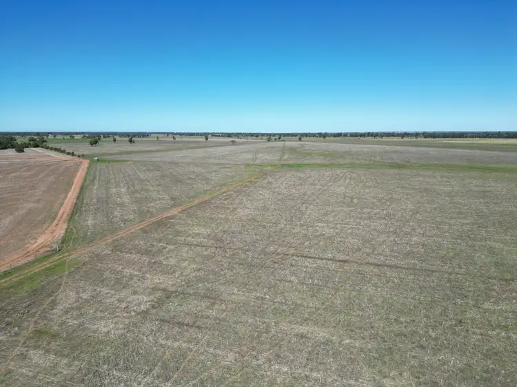 Main view of Homely rural property listing, 678 Arthursleigh, Gilgandra NSW 2827