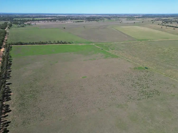 Third view of Homely rural property listing, 678 Arthursleigh, Gilgandra NSW 2827